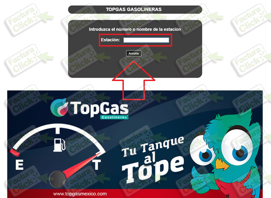 TOPGAS FACTURACION 2020-1