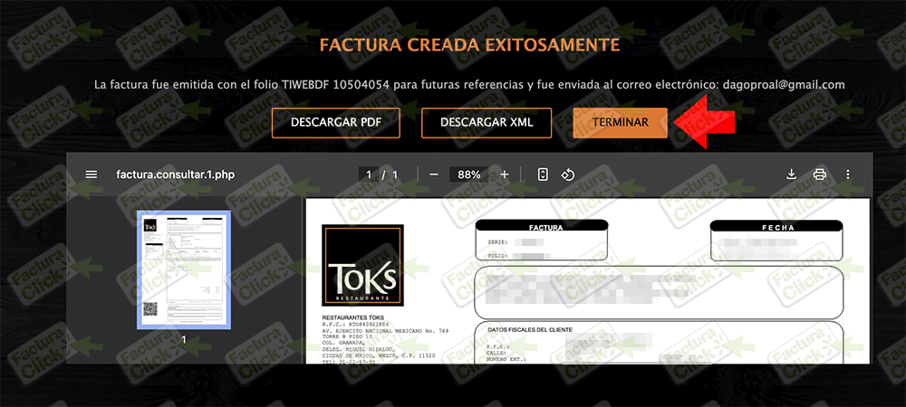 TOKS FACTURACION 2025-6