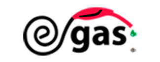 EGAS FACTURACION LOGO 02