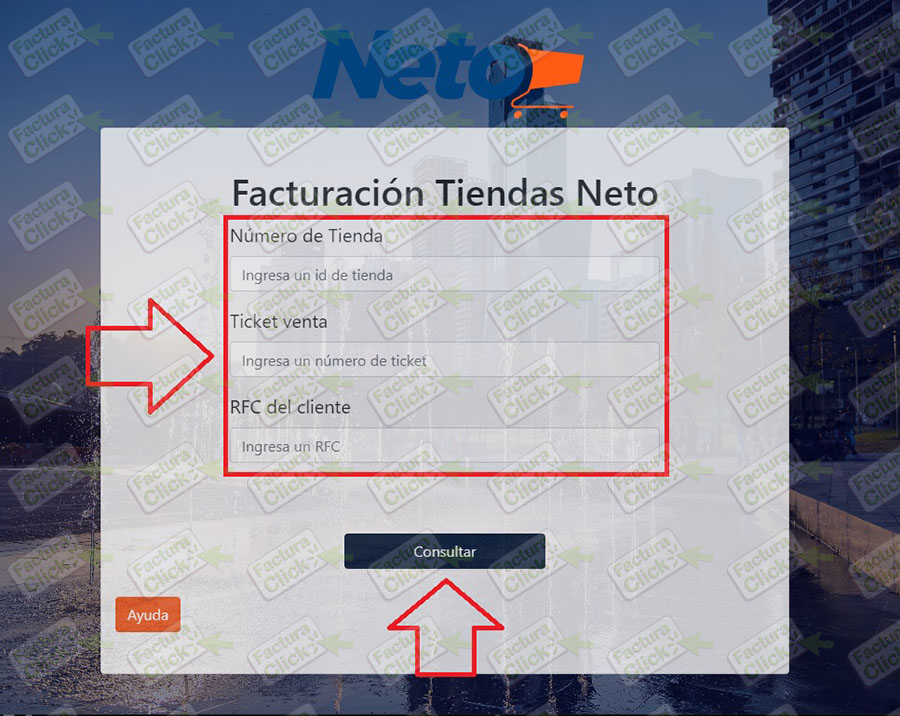 TIENDAS NETO FACTURACION 01
