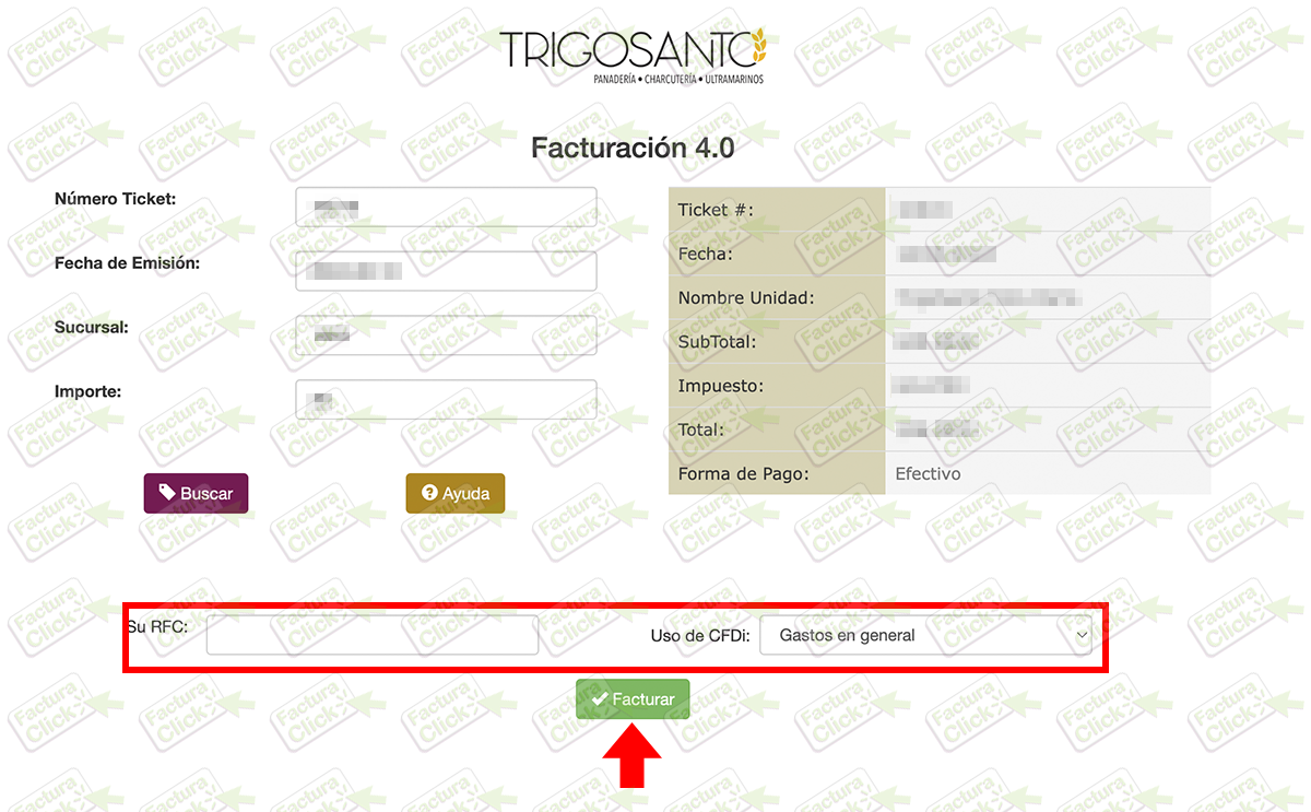 TRIGOSANTO FACTURACION 2024-2